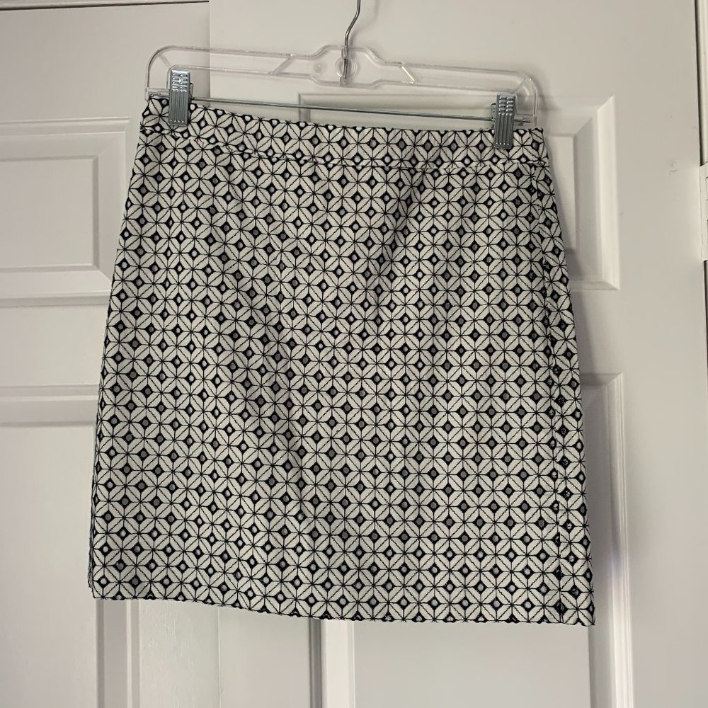 Jcrew Skirt
